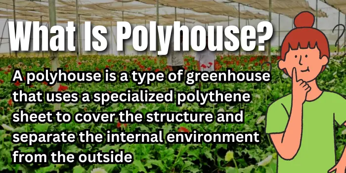 What Is Polyhouse?
