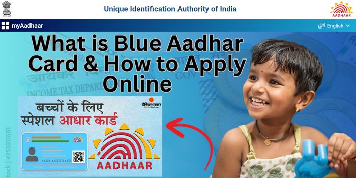 blue aadhar card